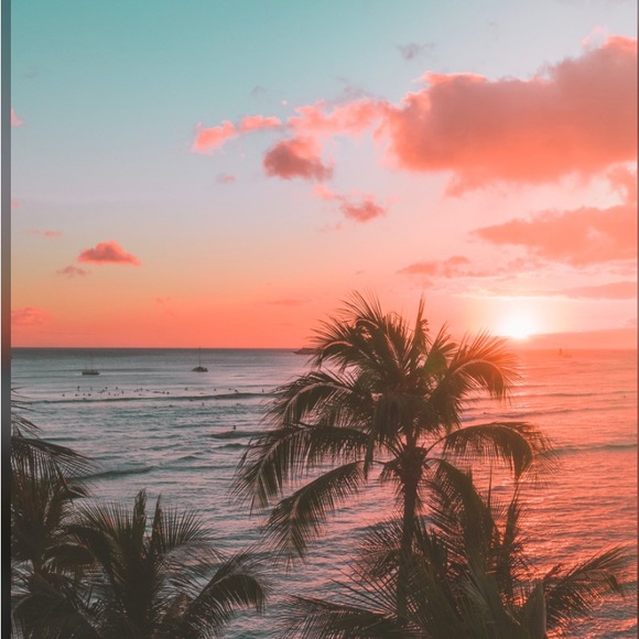 Meet the Posher Other - Meet your Posher, Jaidyn